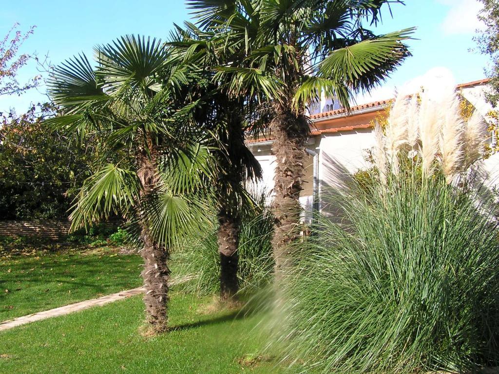 Apartments Oaza Regi Medulin Extérieur photo